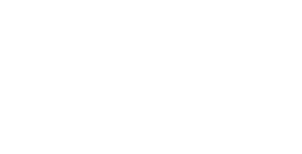 Next Future and CarLife